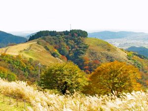 イヌクビリ付近から大野山の東側663mのピーク付近を見る