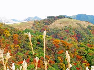 谷峨方面登山道の紅葉風景