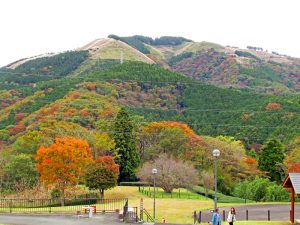 山北つぶらの公園つつじ山園路より大野山