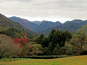 山北つぶらの公園つつじ山園路より塔ノ岳（中央奥）